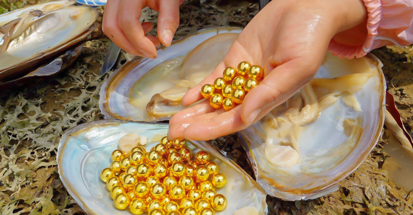 How Much Are Golden Pearls Worth-3